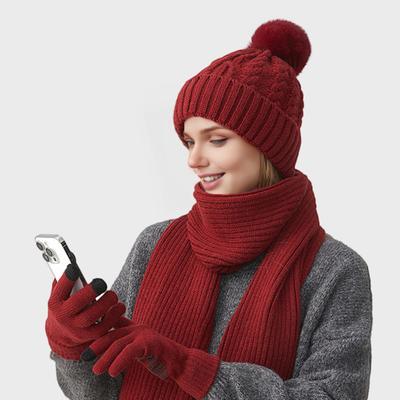 Ensemble 3 Pièces Chapeau d'Hiver Écharpe Gants Couleur Unie Coupe-Vent Chapeau à Pompon en Peluche Chauffe-Cou Ensemble de Gants Écran Tactile