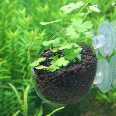 Fish Tank Mini Glass Pot Water Potted Aquatic Planting Cylinder Cup