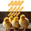 12Pcs Plastic Bird Leg Correctors For Poultry Support And Posture Alignment