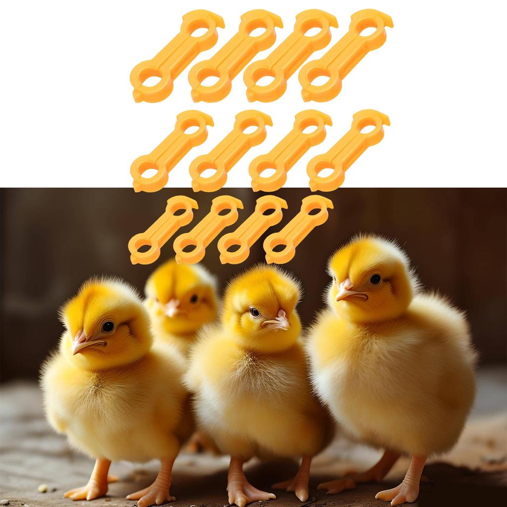 12Pcs Plastic Bird Leg Correctors For Poultry Support And Posture Alignment