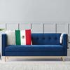 Mexico Flag Mexican Friend Square Pillow Case Decorative Pillow Funny Cushion Covers