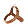 Dego Fashion Wasserdichtes Hundegeschirr & Leinen-Set für Kleine/Mittelgroße Hunde