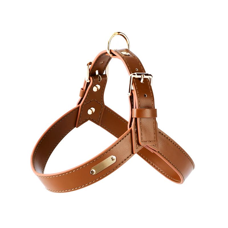 Dego Fashion Wasserdichtes Hundegeschirr & Leinen-Set für Kleine/Mittelgroße Hunde