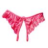 Panties Crotch Opening Low Waist Nylon Hollow Lace See-through Thong for Valentine's Day