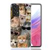 Crying Cat Memes Phone Case For Samsung Galaxy A52 A32 A22 A12 A02S A50S A30S A51 A31 AA71 Note 20 Ultra 10 S10 Plus Galaxy A52