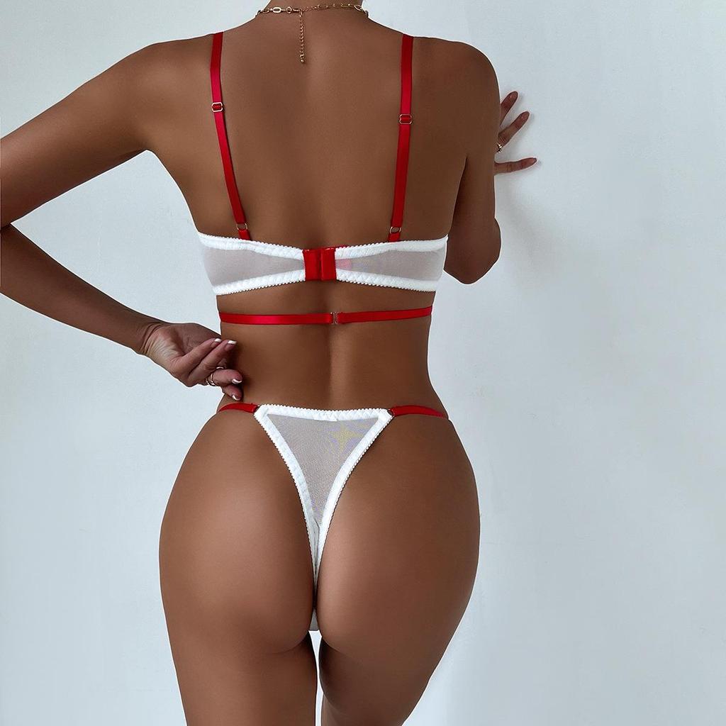 Ultra-Thin Sexy Transparent Embroidered Backless Underwire Bra and Lingerie Set for Women