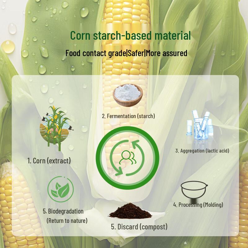 ZL 1500ml Rectangular Biodegradable Takeout Food Containers