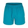 Hugo Mens Tiki Vertical Logo Swim Shorts