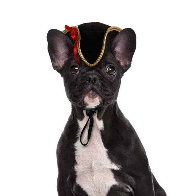 Funny Hat for Cat Cosplay Captain Pirate Dress Up Costume Pet Hat Christmas Cosplay Warm Headwear Dogs Cat Accessories