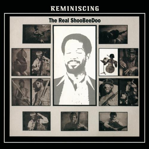 

CD REAL SHOOBEEDOO Reminiscing Limited Edition PCD94134 PVINE 2022 Japan Obi Jazz