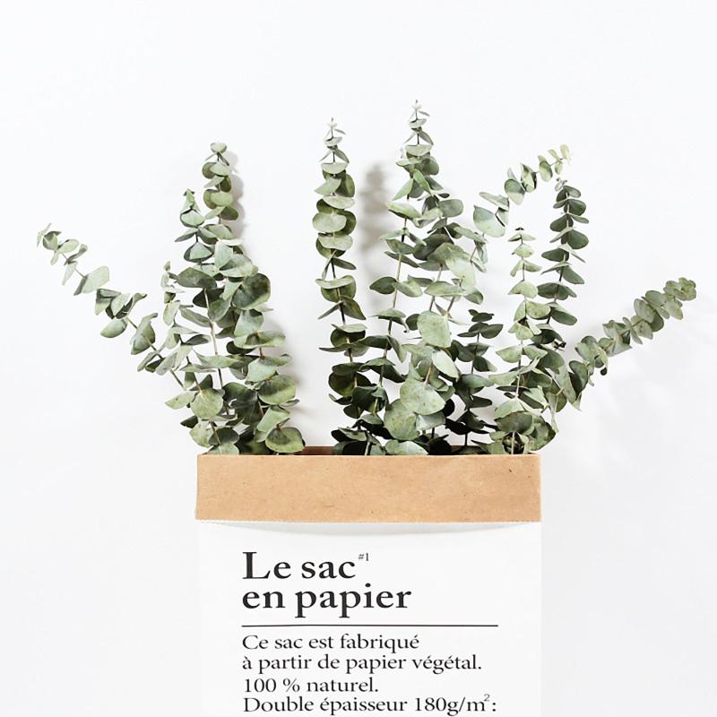 20pcs Eucalyptus Stems Dried Flowers Photography Props For Wedding Centerpiece Farmhouse Home