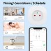 Graffiti 16A WiFi Smart Plug with Alexa Voice Control & Timer