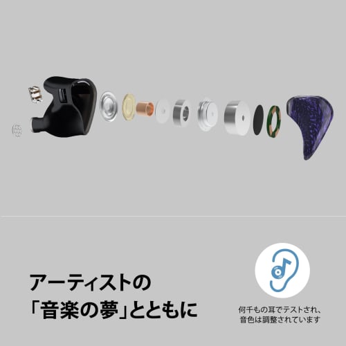 [VGP 2025 Hall of Fame Gold Award] Celest WyvernBlack PRO 10mm LCP Driver In-Ear Monitor Headphones, HiFi Wired Earphones, Gaming Earphones, IEM with