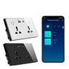 2025 Newest Smart Universal Double Wall Socket Support ZIGBEE WIFI Intelligent Outlet with Alexa Voice and Smart Life APP