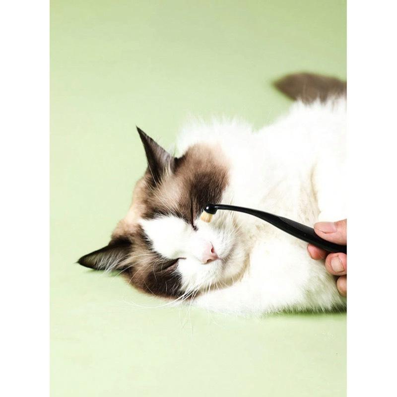 Easy-To-Clean Pet Eye Brush, Clean Face Comb + Clean Face Scissors, Remove Tear Marks, Scabs And Mucus, Comb Hair, Suitable For Small Cats And Dogs