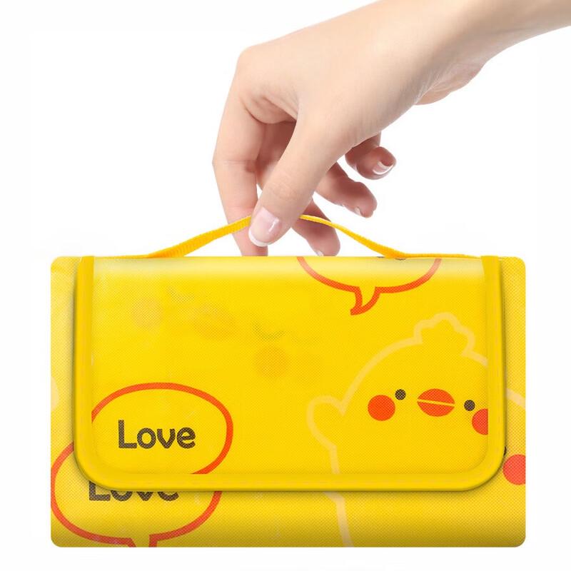 Outdoor Non-woven Picnic & Camping Mat