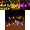 Enchanting Halloween Led String Lights Featuring Whimsical Pumpkins Spiders Skeletons For Festive Window Decor