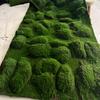 Luxury Simulated Moss Plastic Indoor Landscape Turf Artificial Green Eco-friendly UV Varnished Customized Installation Window
