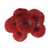 Fake Lifelike for Fish Tank Decoration Coral Reef Simulated Reef Artificial Coral Aquarium Ornament
