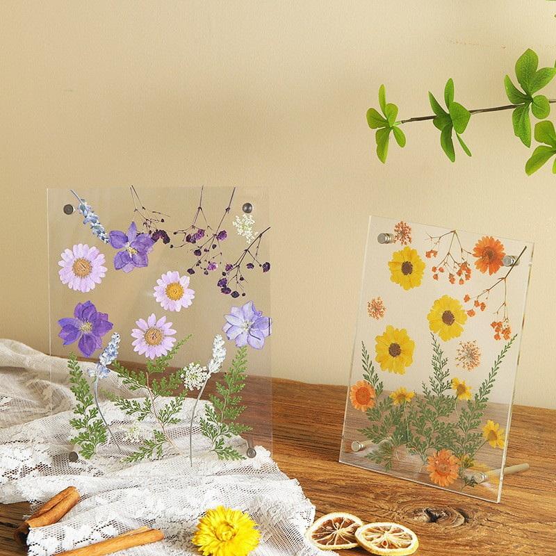 6 Inch Clear Acrylic Pressed Flower Frame Floral Keepsake Frame -Minimalist Tabletop Po Display For Home & Office Desk Decor