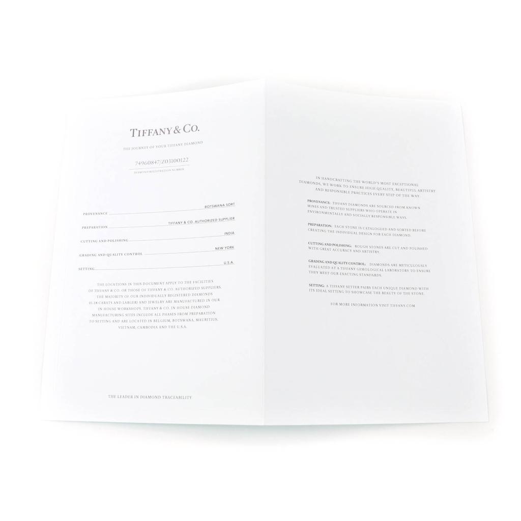 Great TIFFANY&Co. Necklace By the Yard 0.23ct /I/ VVS1/ 3EX NONE 74960847 PT950 Used