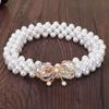 Pearl Waist Chain Women's Decorative Belt with Dress with Fine Elastic Elastic Waist Seal Versatile Korean Style Fashion Accessories for Women