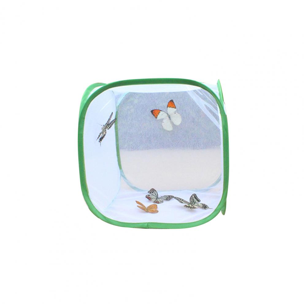 Schmetterlingsnetz-Käfig Grün Zusammenklappbarer Insektenkäfig Insekten-Habitat-Käfig Gottesanbeterin Stock Zucht Reißverschluss-Käfige Netzstoff-Habitat-Set