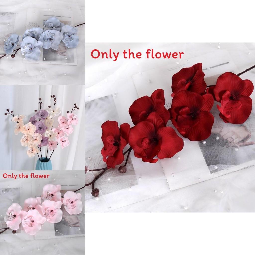 Artificial Phalaenopsis Aphrodite Wedding Path Flowers With Silk Material For Event And Home Decor
