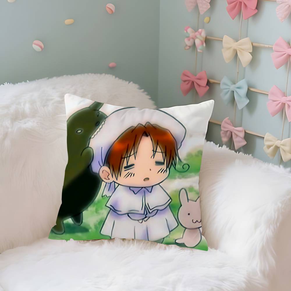FunnyHhetalia World StarsS Case Plush Fabric Soft Pillowcase Double Sided Print Cushion Cover Household Gifts