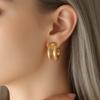 Wind Circle Earrings Women's Stainless Steel Exaggerated Large Earrings Ear Buckles Personalized Ear Accessories Women