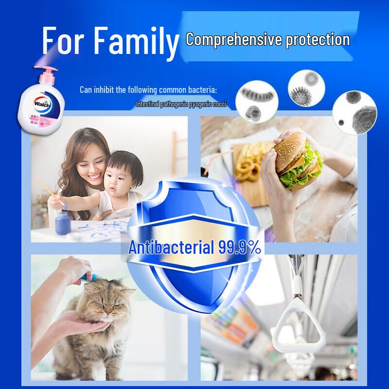 Walch Hand Sanitizer