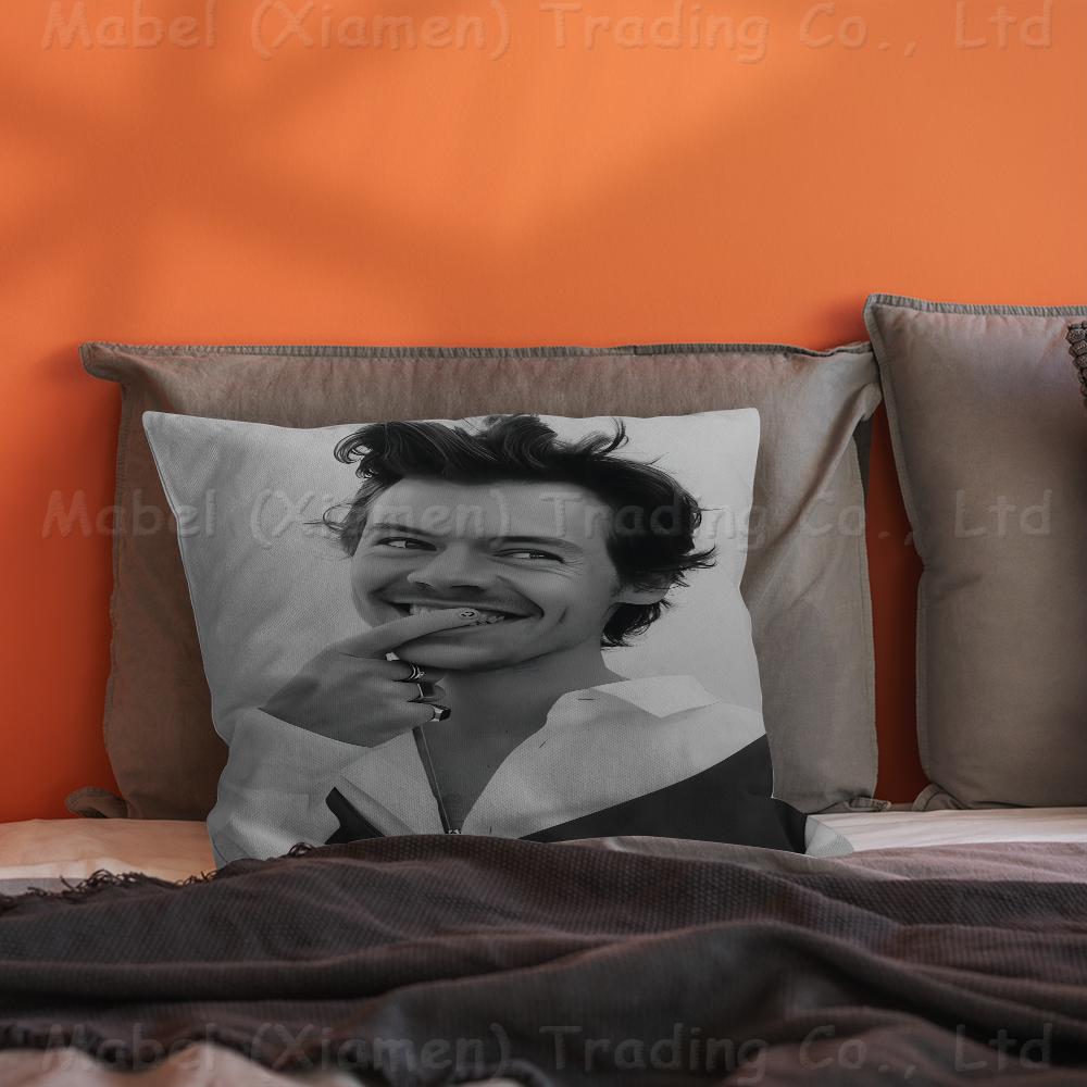 Sänger H-Harrys S-Styles Personalisierte Bildtext Heimdekorationskissen Haushaltsgeschenke 45x45cm