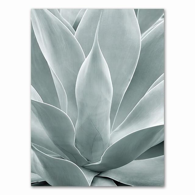 Palm Leaves Plant Art Canvas Painting Aloe Botanical S And Prints Modular Wall Pictures For Living Room Home Decoration Unframed