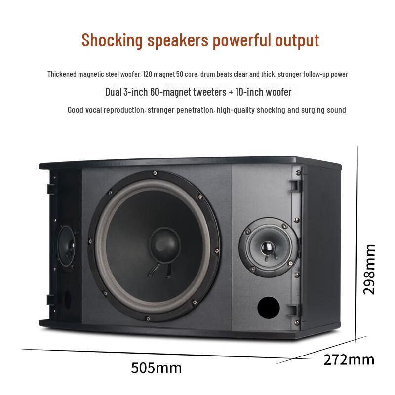 SHILE 10-inch Professional KTV Passive Speaker System