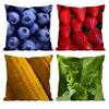 Fresh Food Anime Health Pillow Case Anti-dustmite Pillowcase Invisible zipper silky short plush Sofa cushion cover