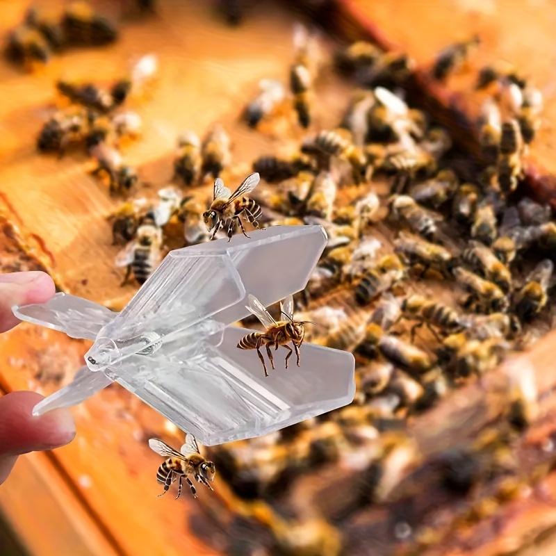 Transparente Plastik Königinnenfalle, Hummel-Fänger Imkereiausrüstung, Langlebiger Tragbarer Insektenfänger, Geeignet für Bienen Schaben