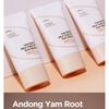 Isntree - Yam Root Milk Tone Up Sun Cream