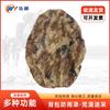 Outdoor Backpack Camouflage Rain Cover
