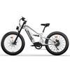 TIFGALOP ES7 750W E-Bike for Adults 52V 19Ah High-Capacity Battery 26" Fat Tires All-Terrain E-Bicycle l Motor  Commuting Mountain