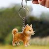 Transparent Dog Hair Storage Container Clear Dog Hair Storage Charm Keychain Adorable Pet Keepsake Capsule Pendant With Key Ring