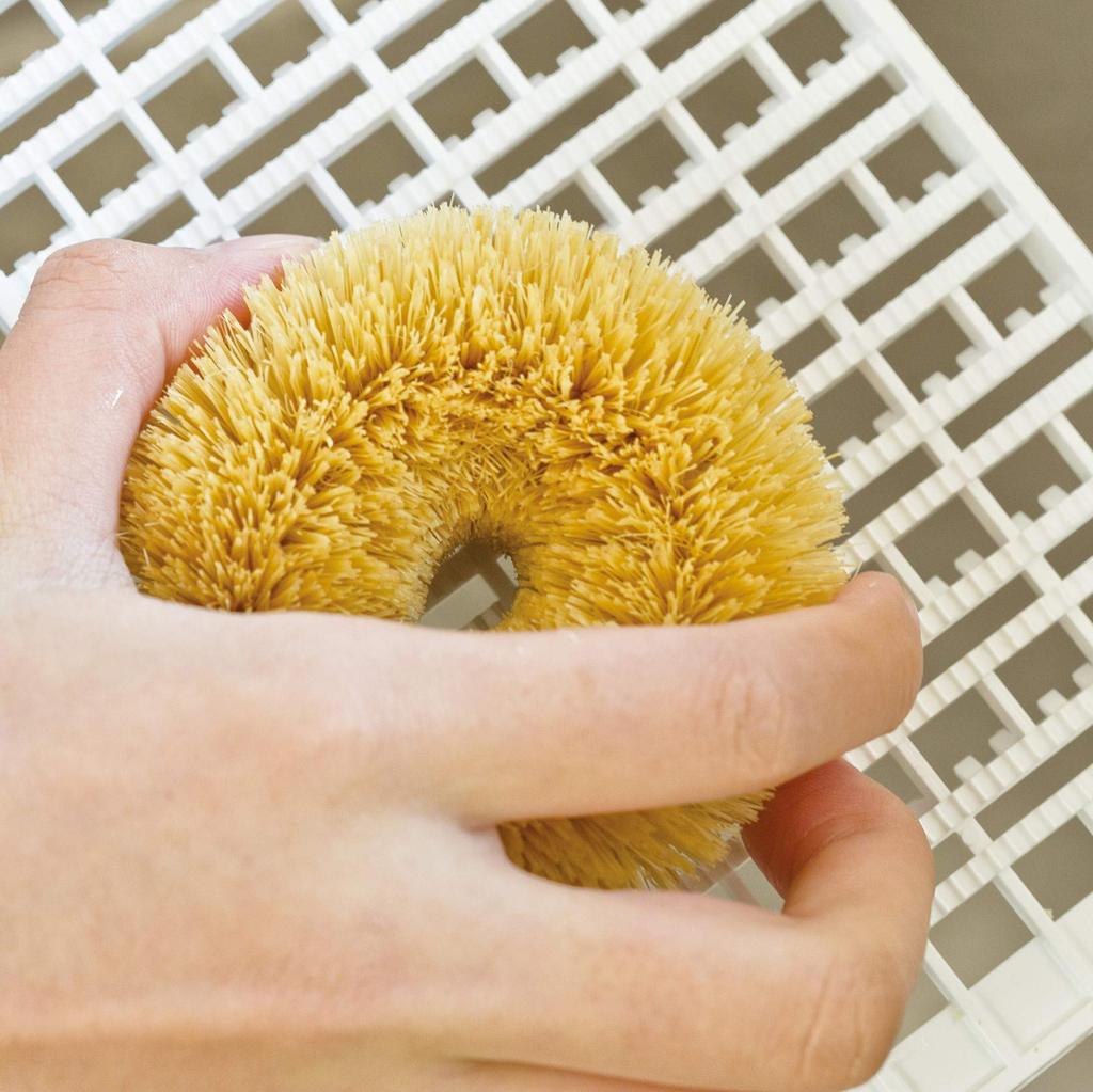 Kamenoko Tsukako Nishio Shoten White Scrubber White Palm (Small)