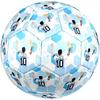 Messi's Argentina Celebration Soccer Ball Size 5 Football Machine Sewn Indoor/Outdoor Universal Football Unique Gift for Soccer Lovers