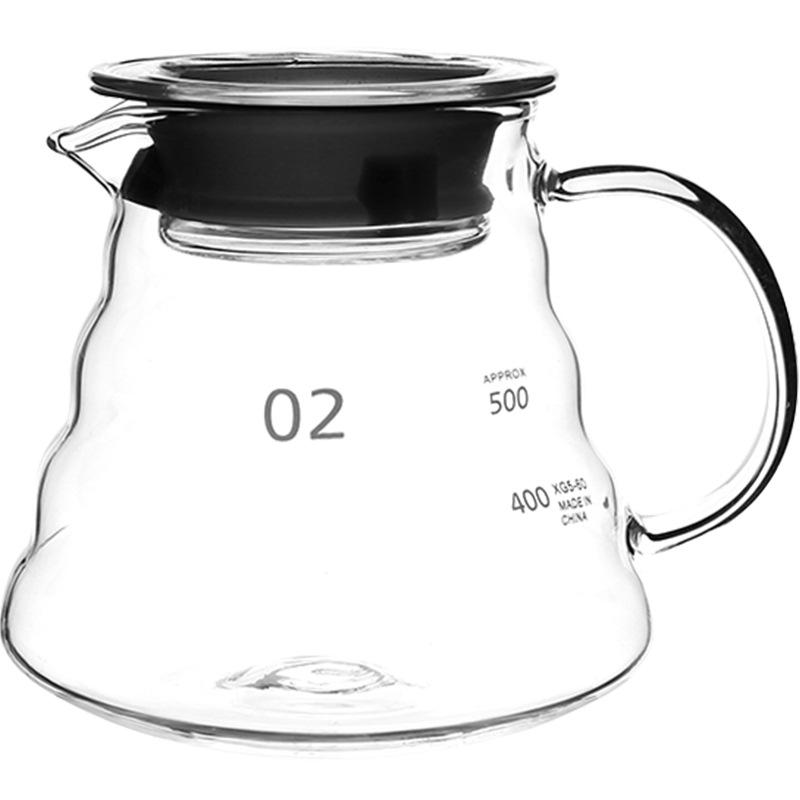 Heat-Resistant Borosilicate Glass Coffee Pot with Drip Filter for Cold Brew