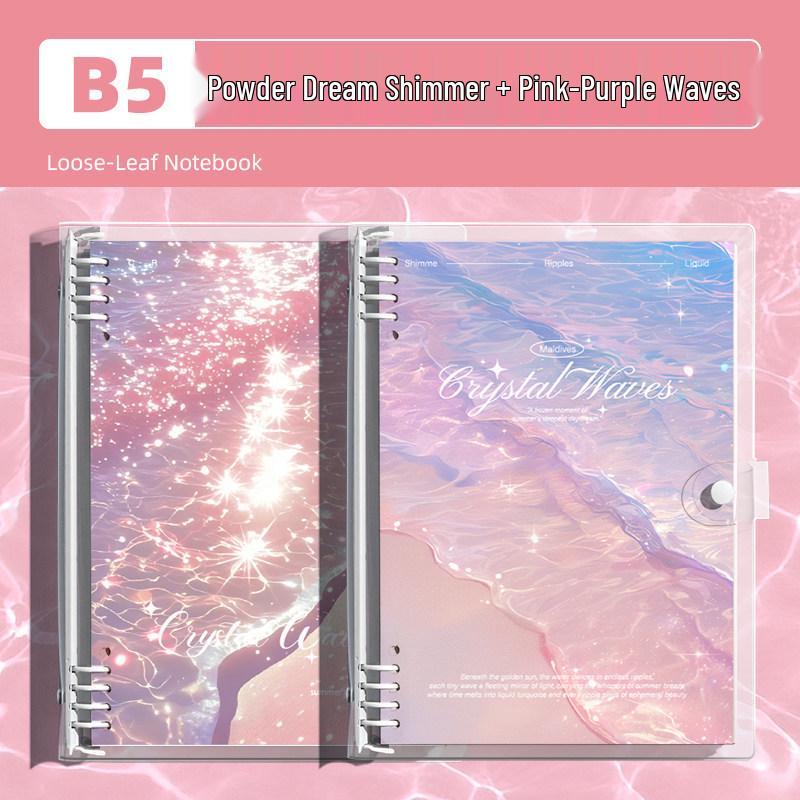 Detachable Transparent Leather Binder with 5 Notebooks for High School Students - 2026 Edition