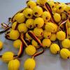 Hanlang Dog Training Rubber Chew Ball with Rope