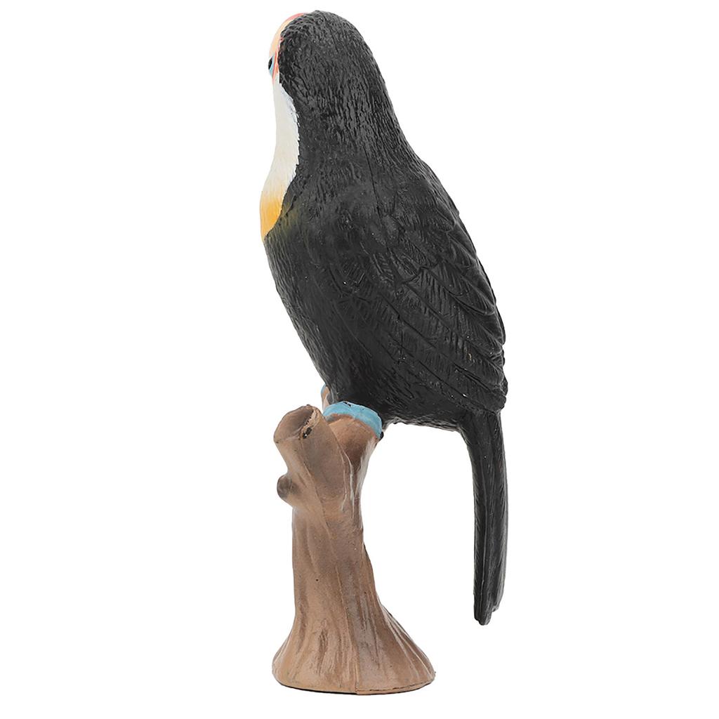 Lebensechtes Kinder Wildtier Tukan Modell Kunststoff Simulierte Spielzeug