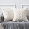 Twist Plush Pillowcase Cushion Cover Light Luxury Ins Nordic Home Sofa Plush Cushion