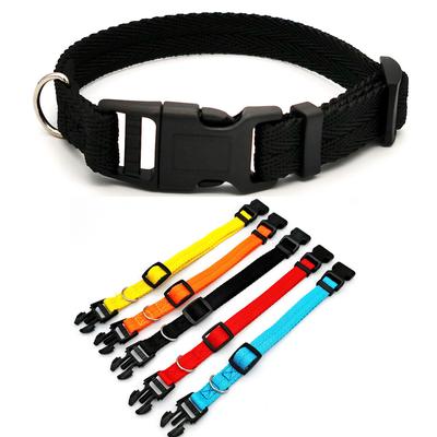 Köpek – Köpek Tasmaları ve Tasma Kayışları
