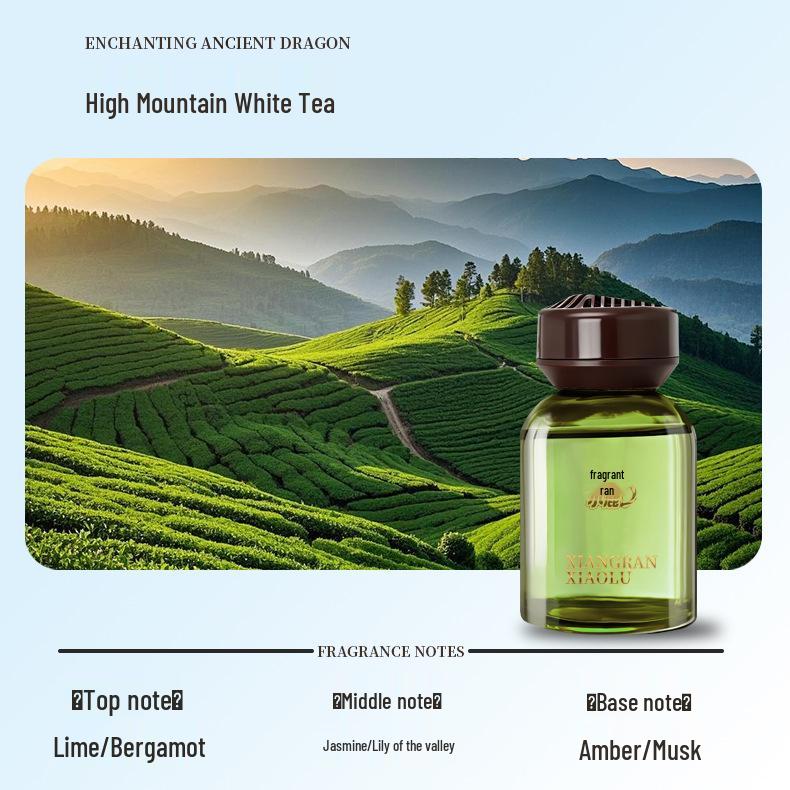Discover Light Luxury Car Air Freshener: Long-lasting Fragrance for Men & Women, Odor Eliminator, Calming Scent.