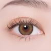 CANNA ROZE Beige Brown Colored Contact Lenses [10 lenses per box] Available with or without prescription, 1-day contact lenses (Beige Brown/-3.75)